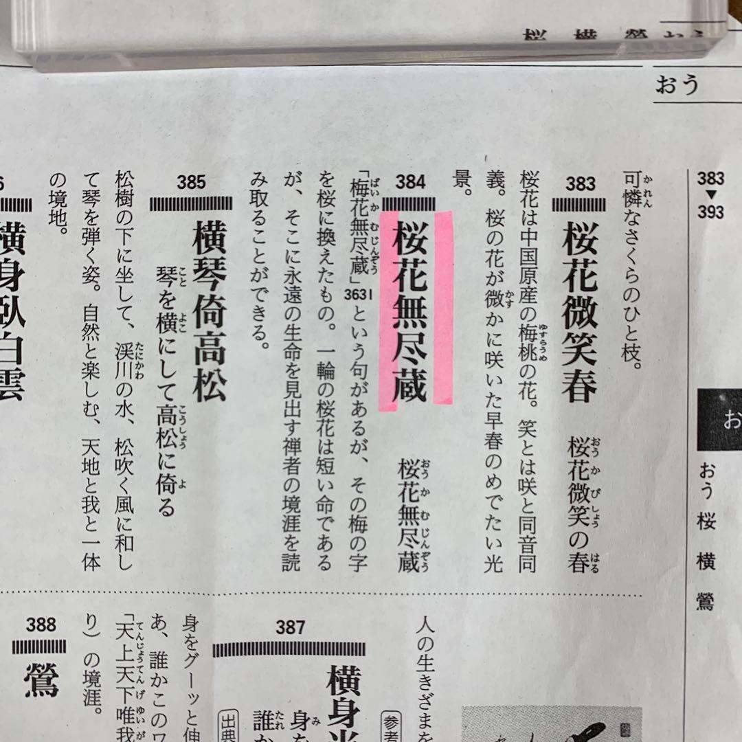 美品 掛け軸 清水寺 森清範作「桜花 無尽蔵」共箱 太巻き 禅語