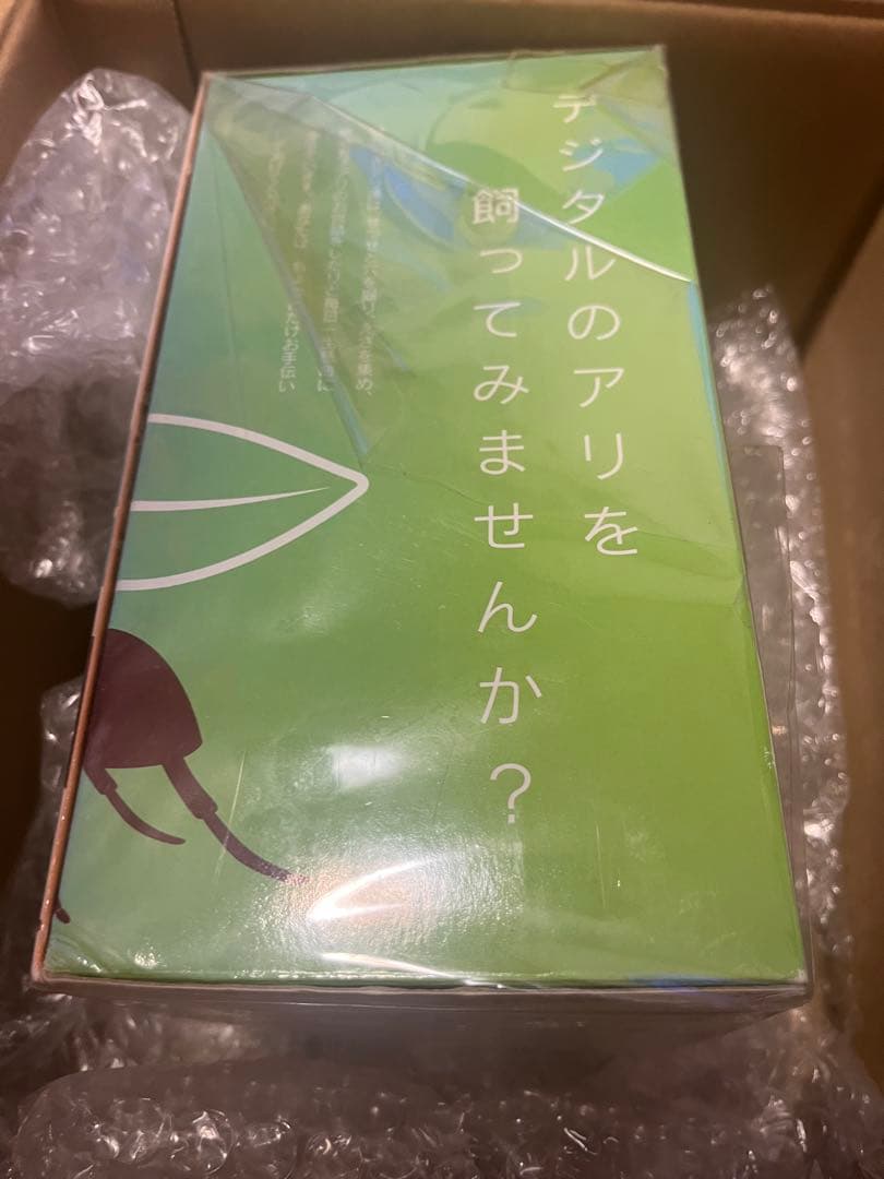 ant's life studio アンツ　ライフ　スタジオ　希少品