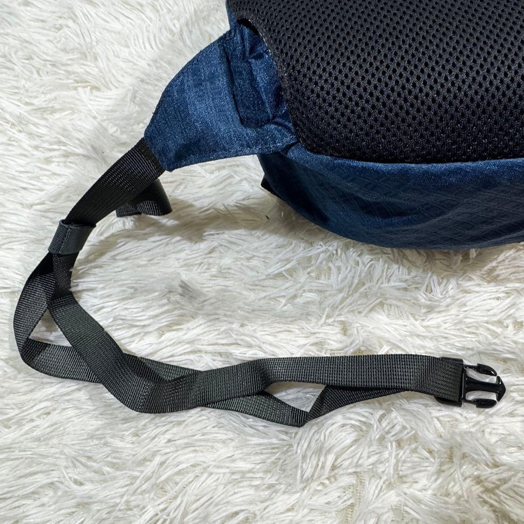 00s 廃盤 パタゴニア アトム スリングショルダーバッグ 斜め掛け Y2K
