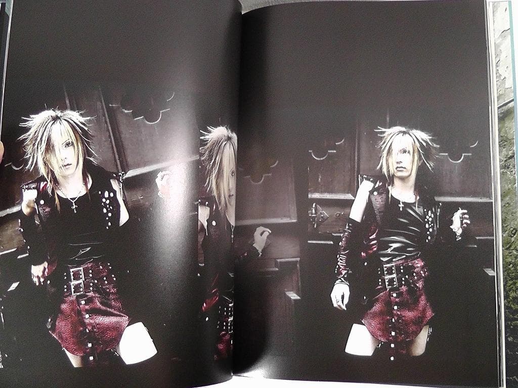 the GazettE Verwelktes Gedicht 写真集 CD枯詩付 - メルカリ