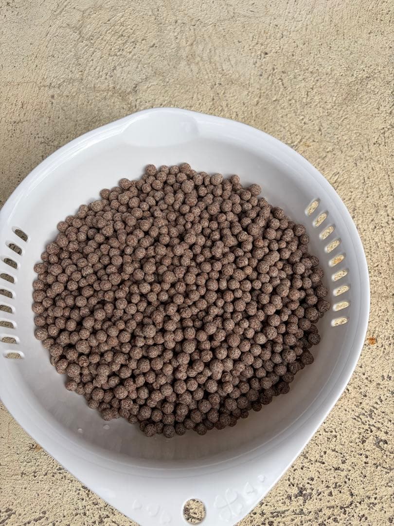 EHEIM フィルター 2215 グレー