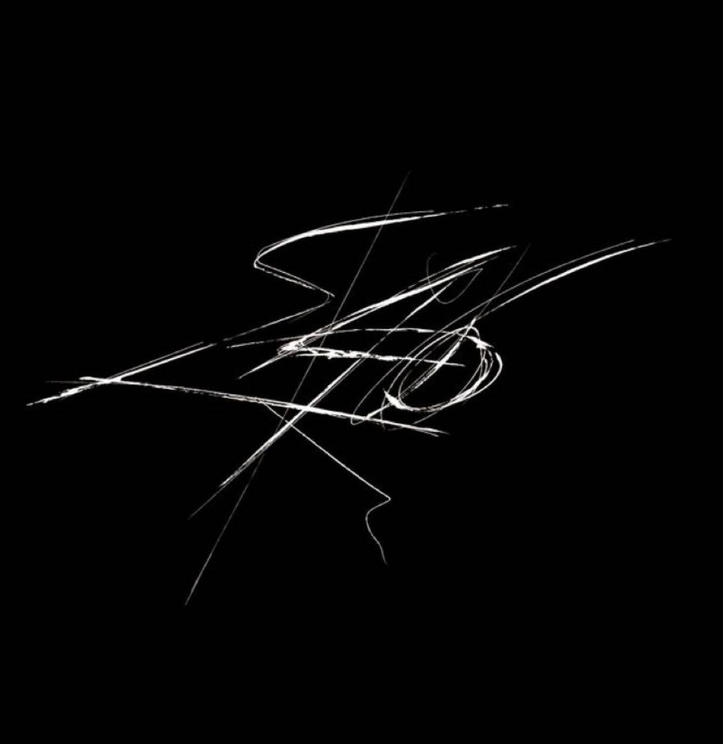 櫻坂46 4th ARENA TOUR ボンディングビッグパーカー 黒 L - メルカリ