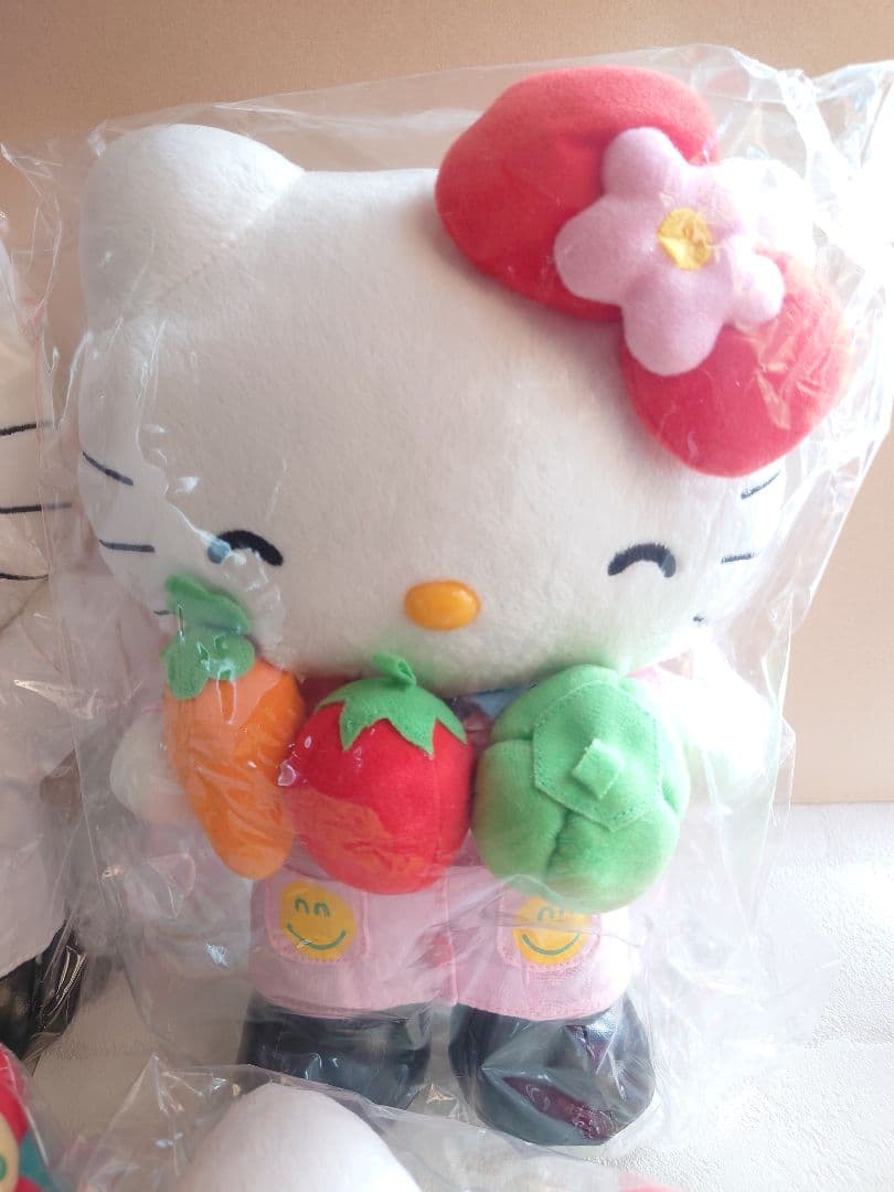未使用　杏林堂コラボ　キティ　ぬいぐるみ　Ｌサイズ　ご当地　薬剤師　管理栄養士