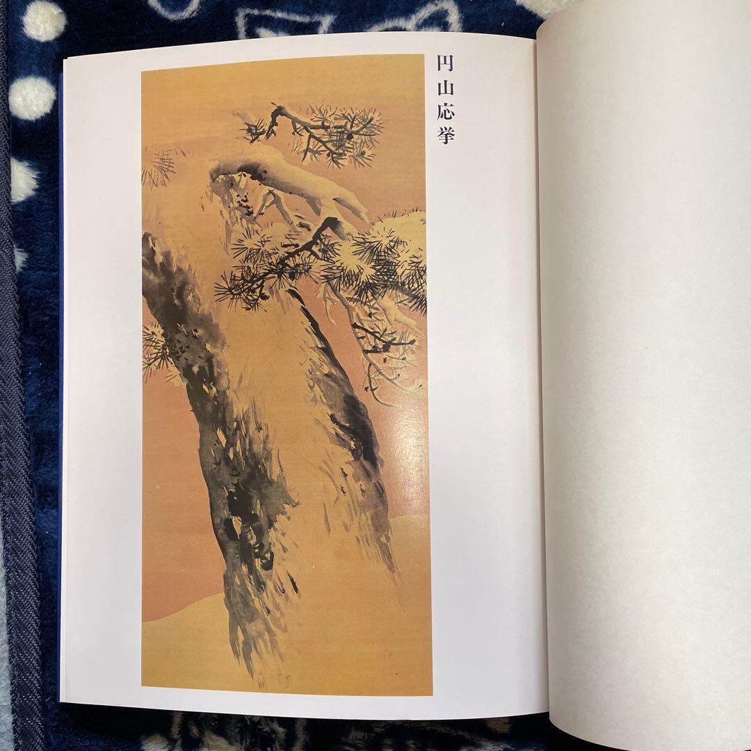 応挙/呉春 日本美術絵画全集 第25巻 集英社発行 - メルカリ