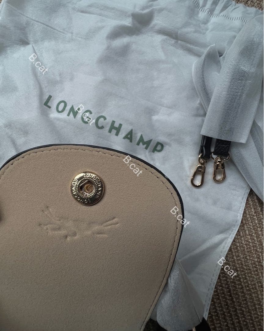 Cactusプロフィ必読