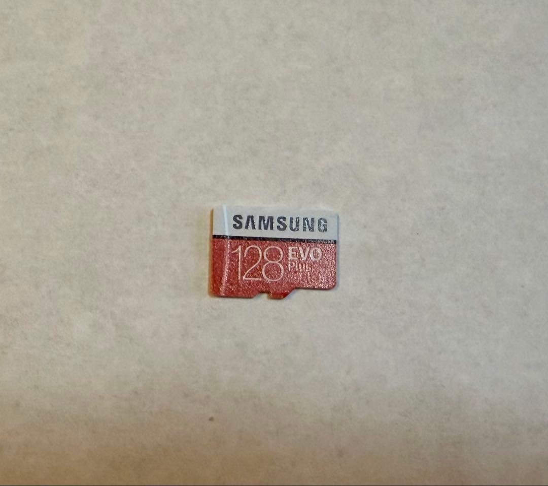 Nintendo Switch Lite 本体 グレー SDカード付き