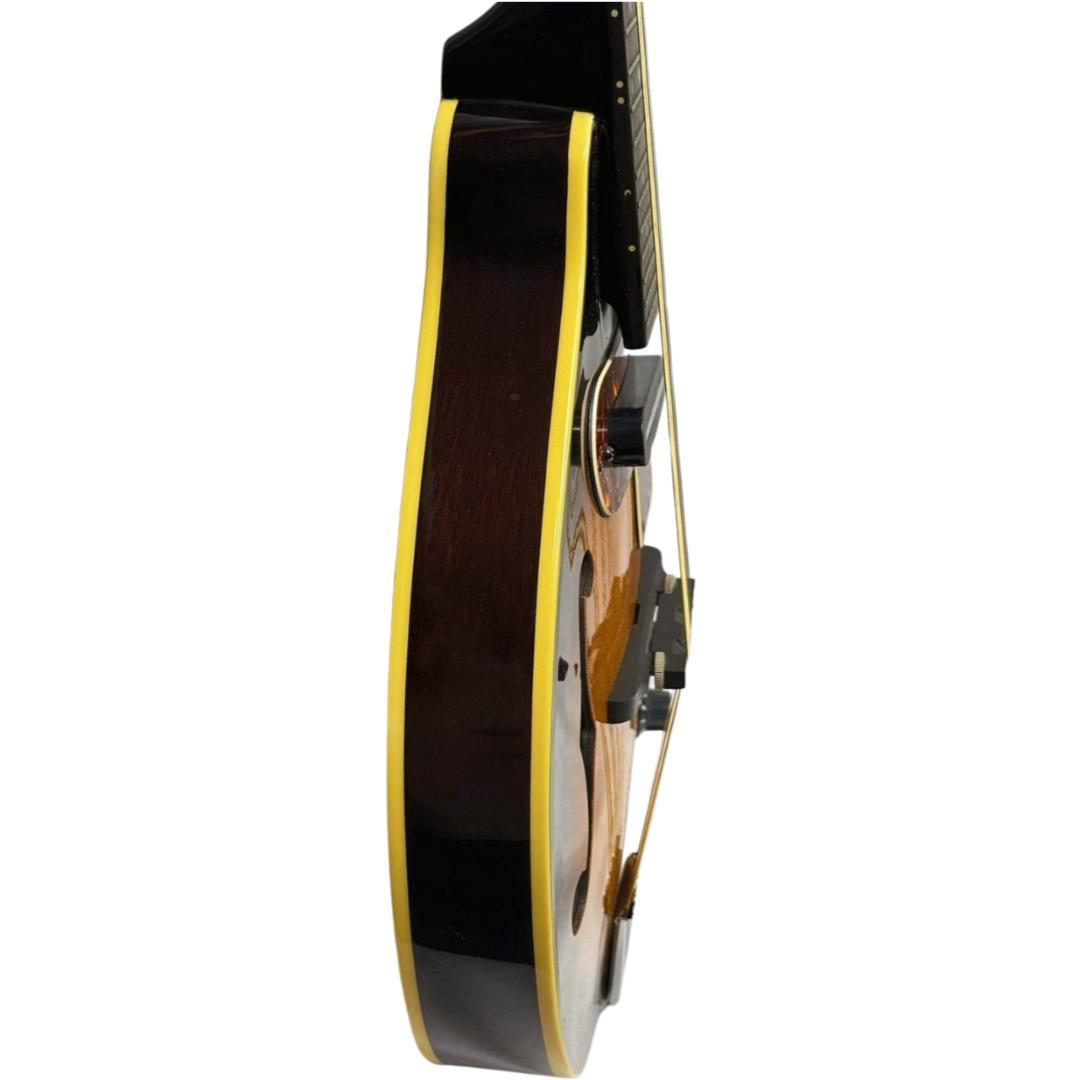 弦楽器 ARIA FlatMandolin AM-200E