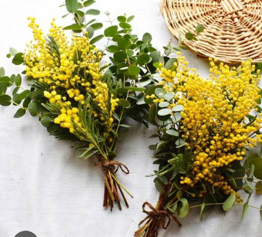 コンシーラーチーク　04 　ワイドフィンガーブラシ