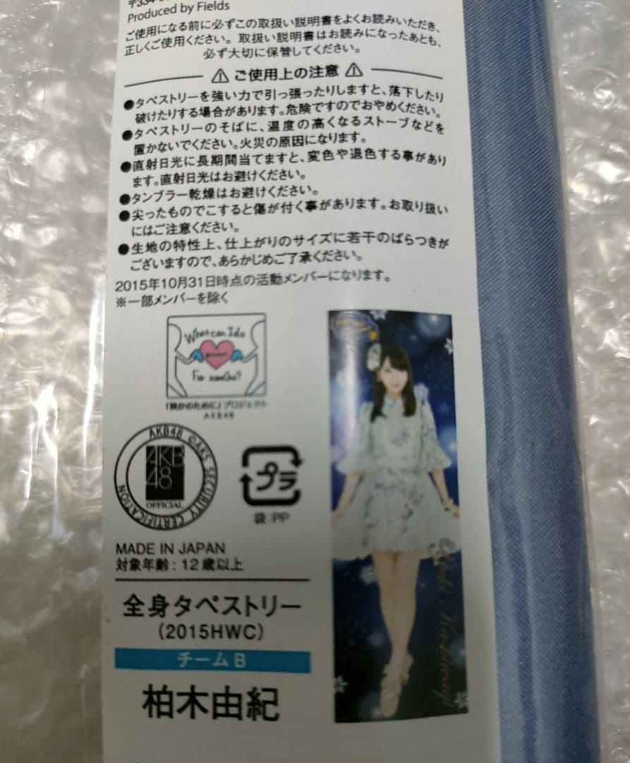 希少　全身タペストリー　柏木由紀　(2015HWC)　チームB