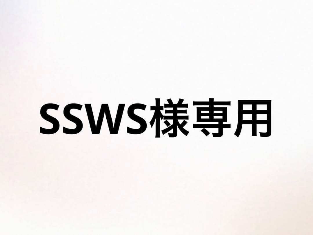 その他 SSWS