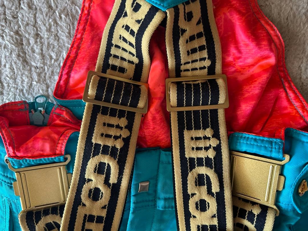 スキーウェア ゴールドウィン　上下セット　Lサイズ