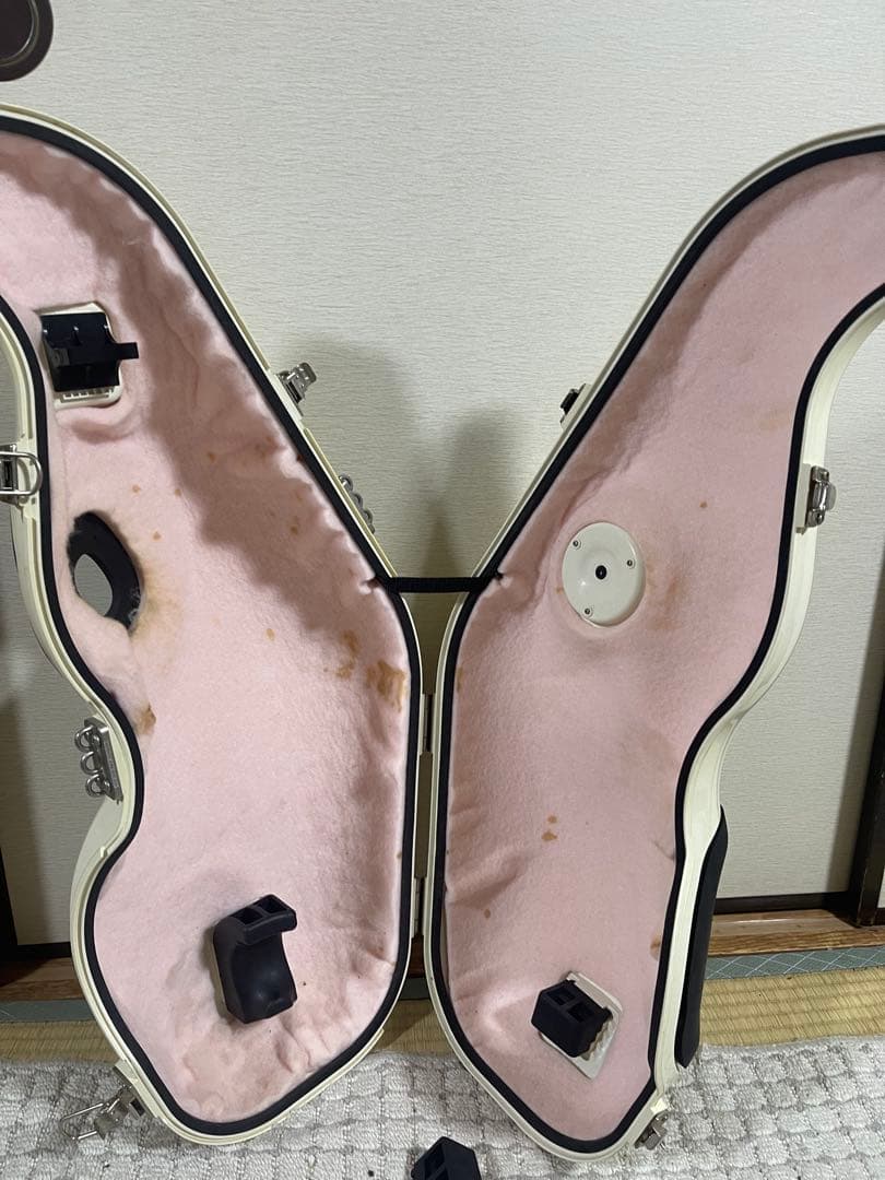 e-sax アルトサックス BESTBRASS ゼンオン