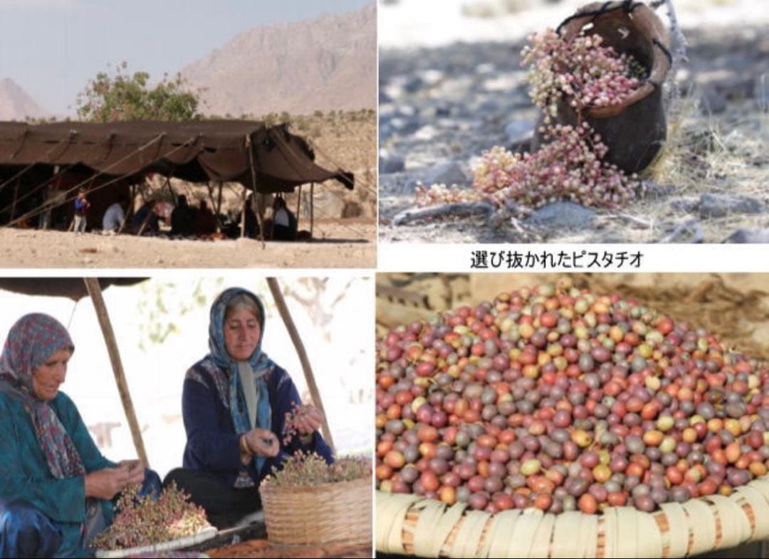 nini バネオイル　ローズ　Baneh Oil Rose Otto 新品