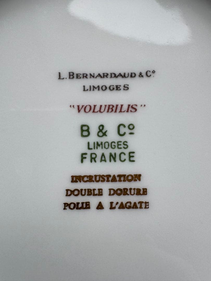 ベルナルド　ヴォルビリス　プレート　2枚セット　16.5cm