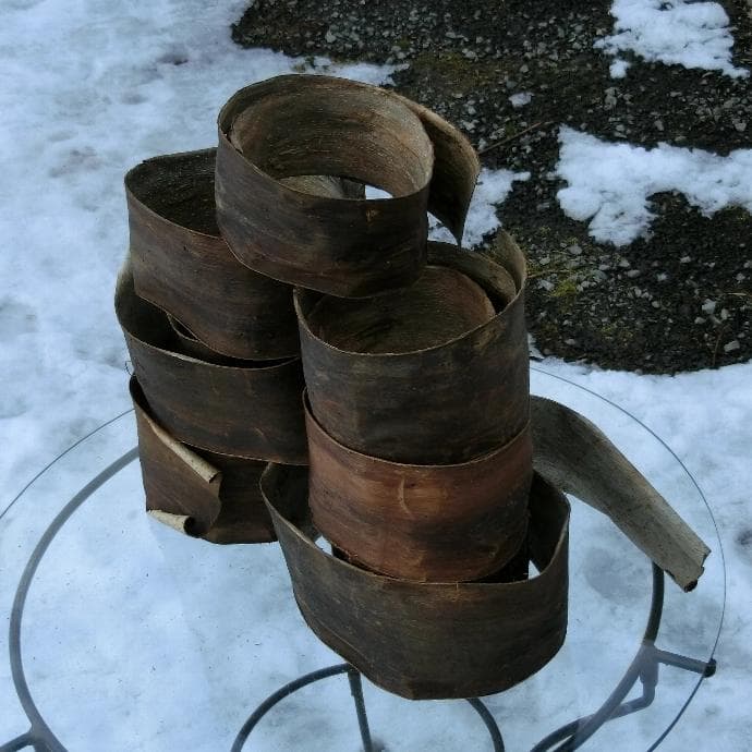 kico 胡桃 くるみ クルミ 皮 樹皮 約5kg