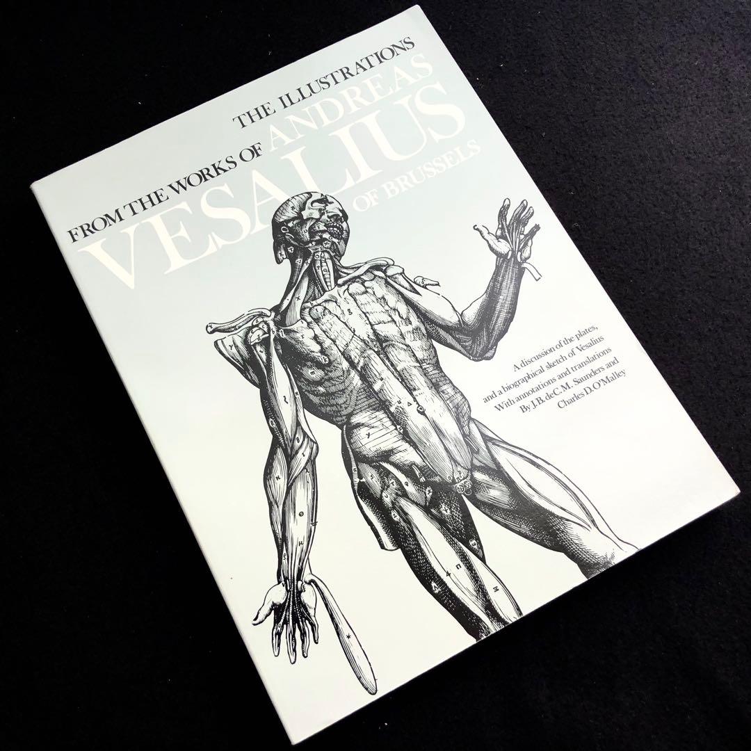 アンドレアス・ヴェサリウス 解剖学的図像 挿絵集「Vesalius」 - メルカリ
