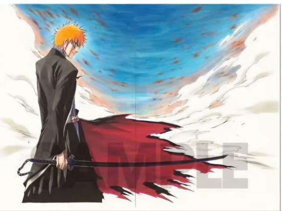 『BLEACH』額装高精細複製原画 No.5 <BLEACH EX.> BLEACH』額装高精細複製原画 No.5 <BLEACH EX.> BLEACH』額装高精細