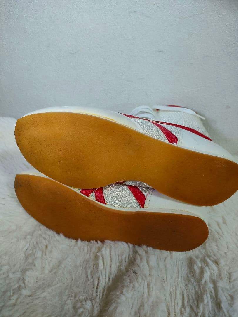 asics TIGER ボクシングシューズ 26.0cm