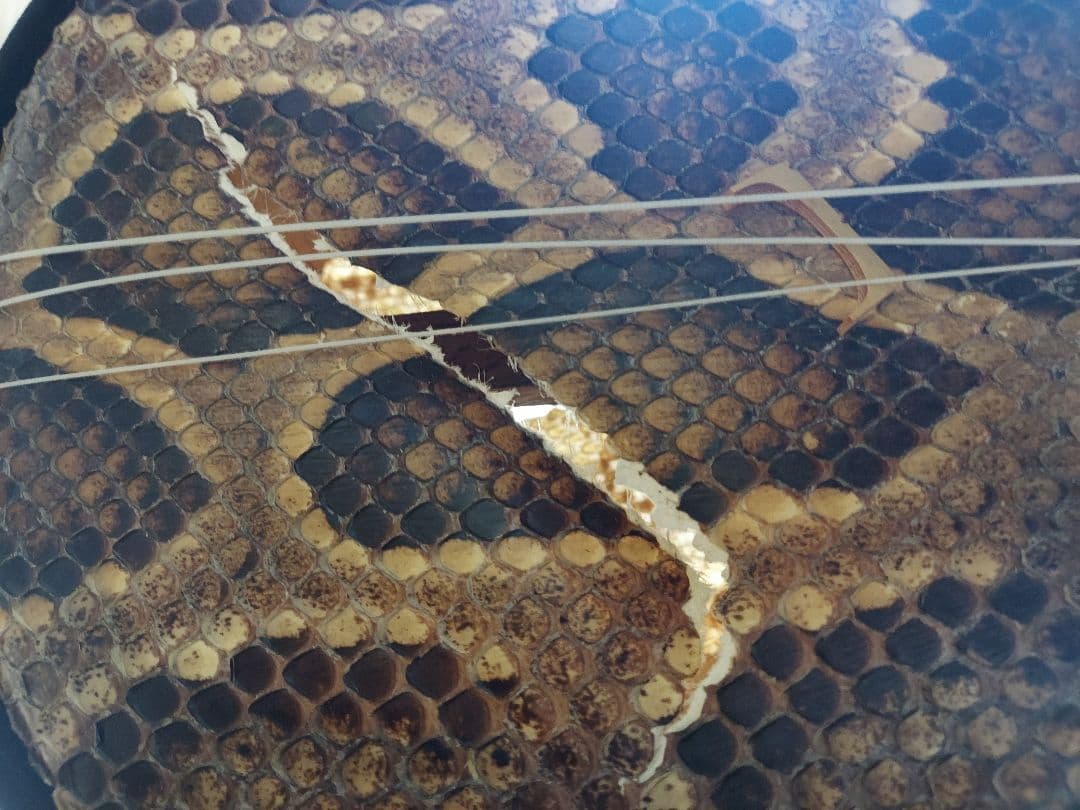 値下げ☆沖縄三線　蛇皮　ケース付き