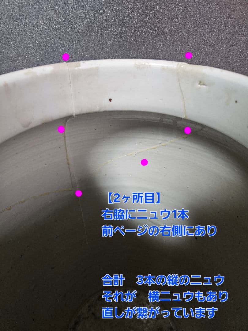 【専用ページ❗】中国古陶磁器　清朝清代　青華　鳥に草花図　高さ40.6cm　大壺