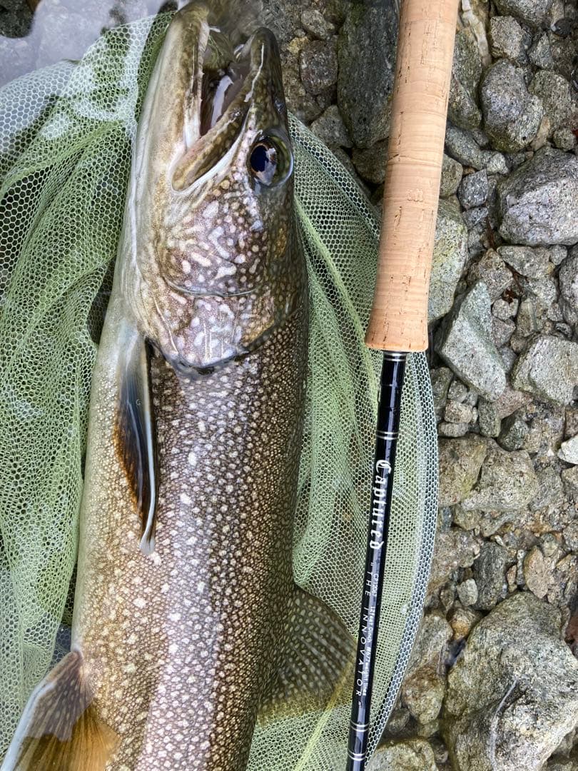 Captured キャプチュード　CP12067 #6/7