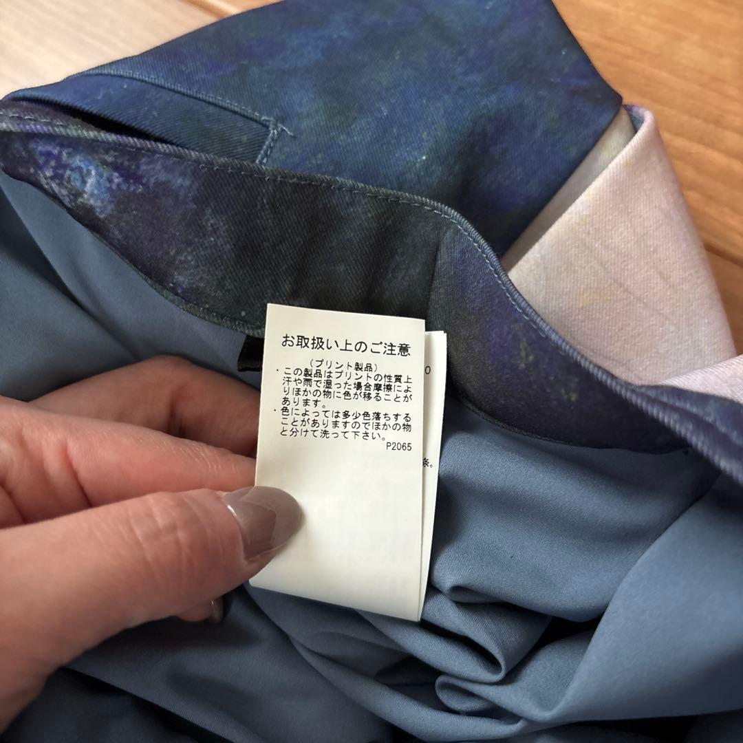 AMERI×THE MET SCENERY PANTS