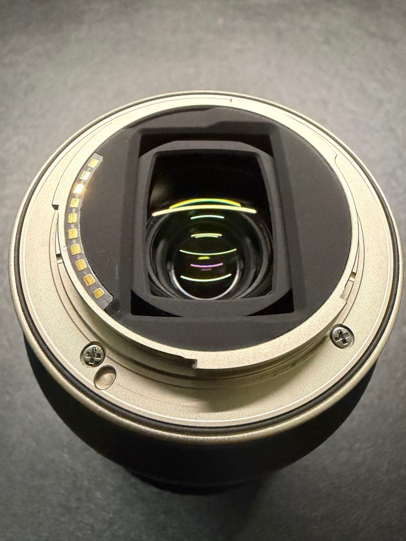 SONY用　TAMRON 28-200mm F/2.8-5.6 ZXⅡ