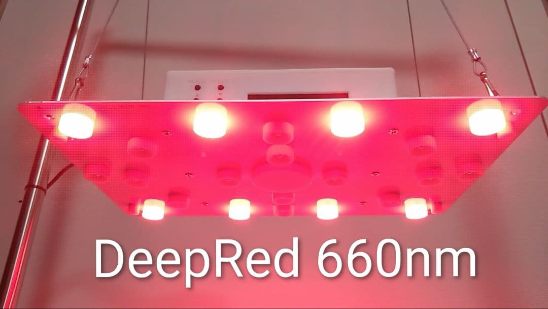 L7B】多肉&塊根育成 水槽照明 タイマー付LEDライト（DC専用）