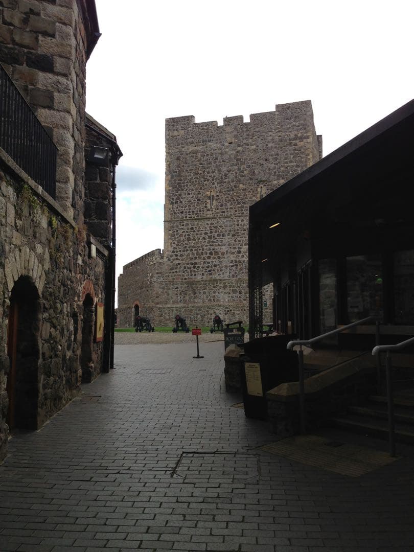 希少品】北アイルランドジャイアンツ・コーズウェイ 木製の剣3本セットと盾