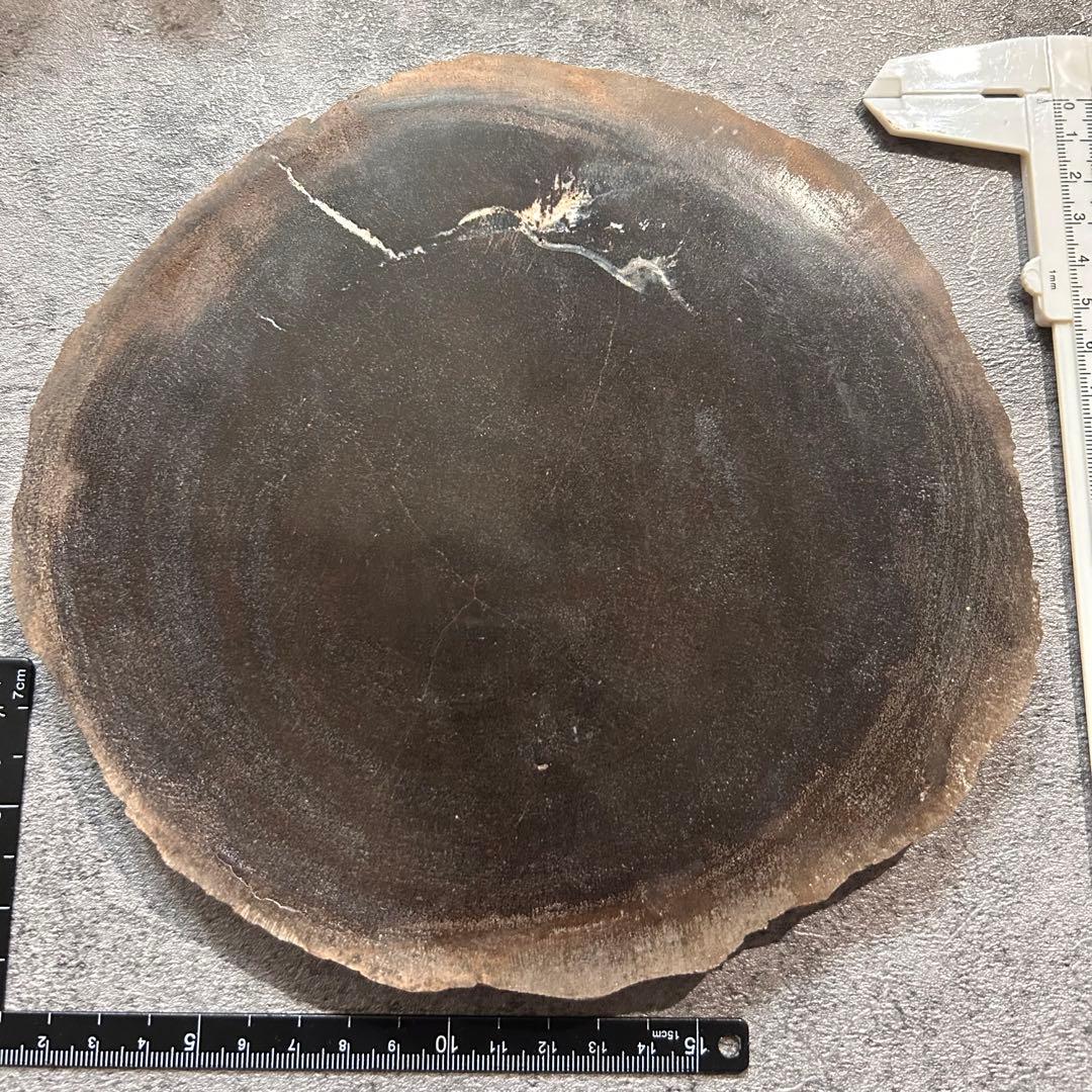 天然石　珪化木　スライス マダガスカル産 ペトリファイドウッド ( 珪化木 ) スライス