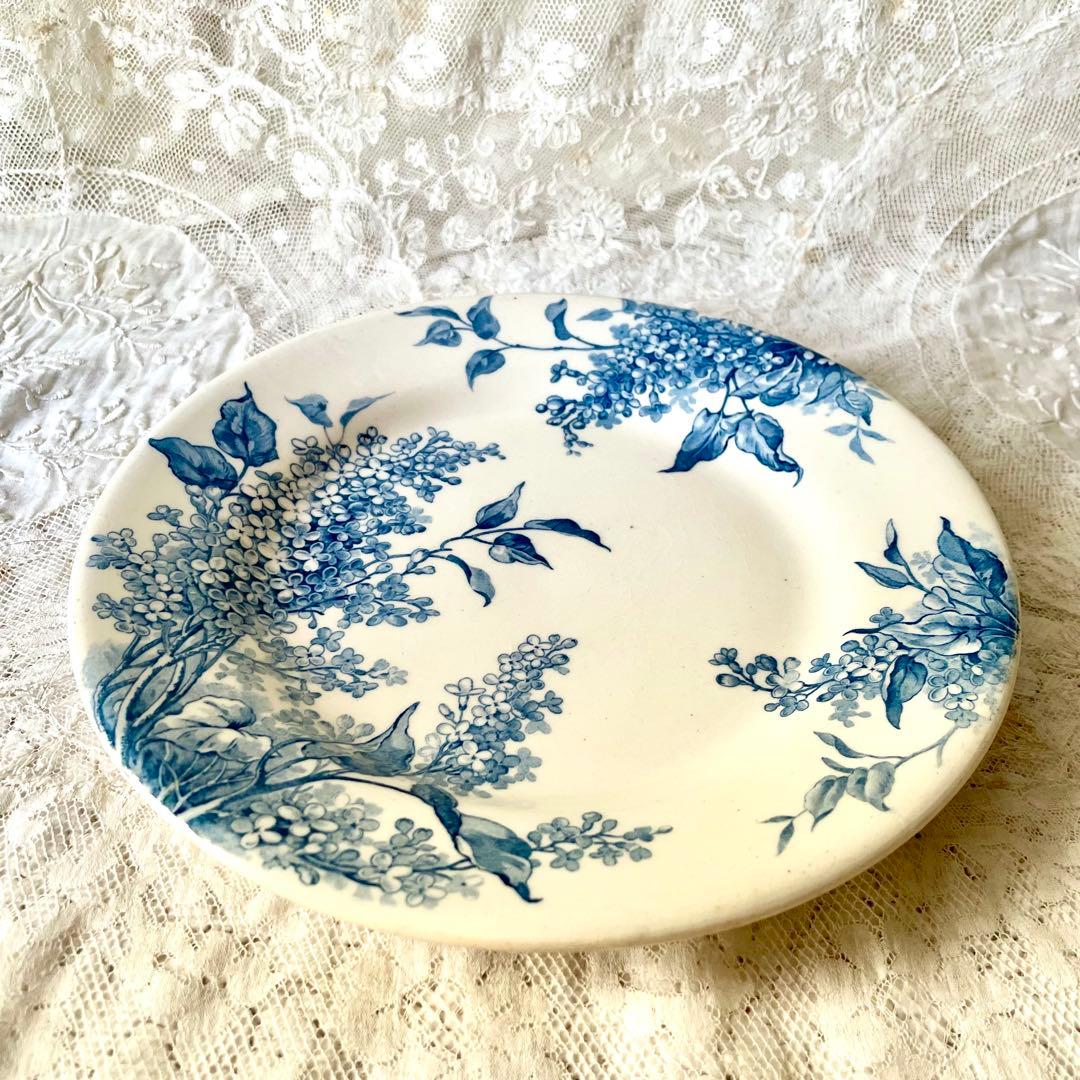 シ*ロ様 サラダ【希少】LILAS リラ平皿プレート　エミール　フランスア