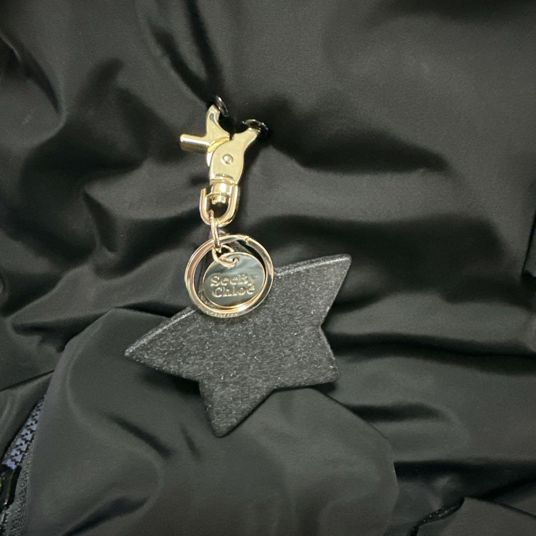 極美品 SEE BY CHLOE JOY RIDER ジョイライダー　リュック