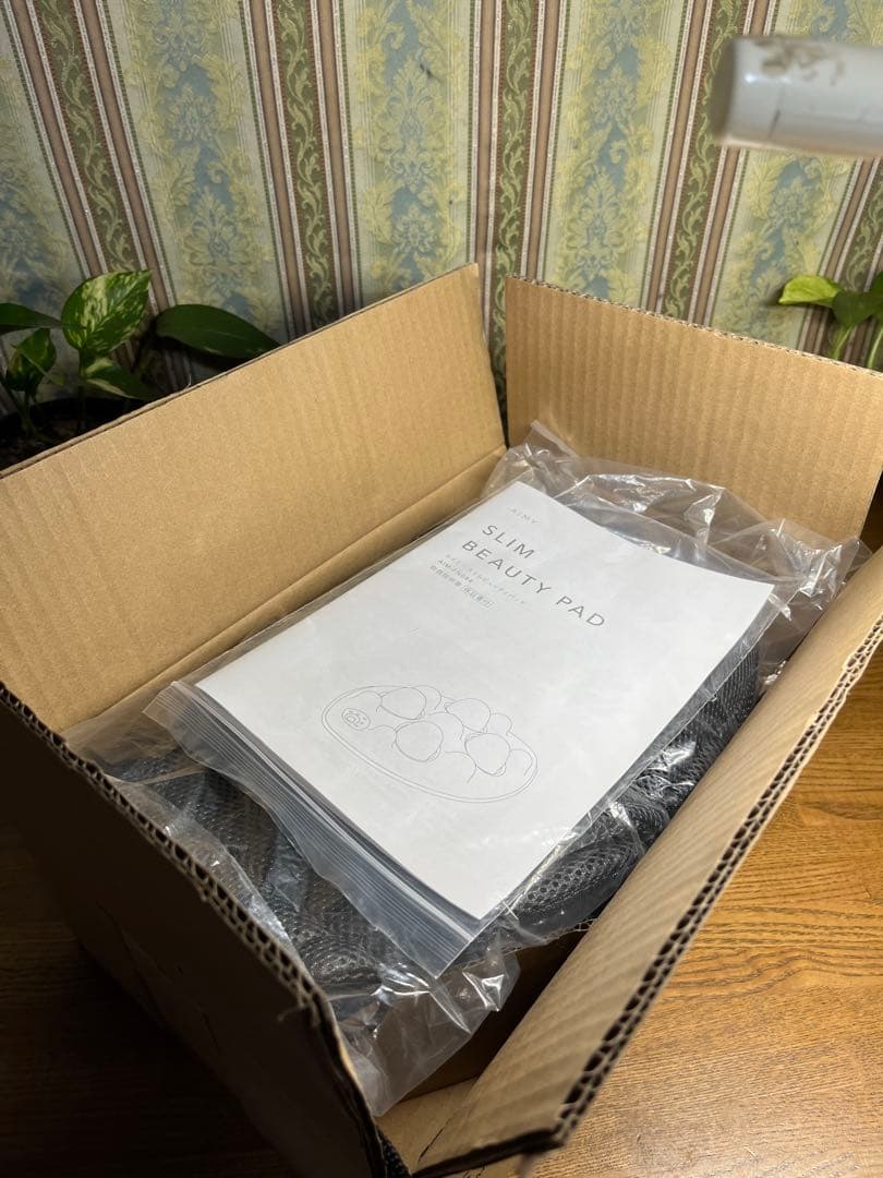 Qちゃん様用　スリムビューティーパッド　エイミー　ディノス