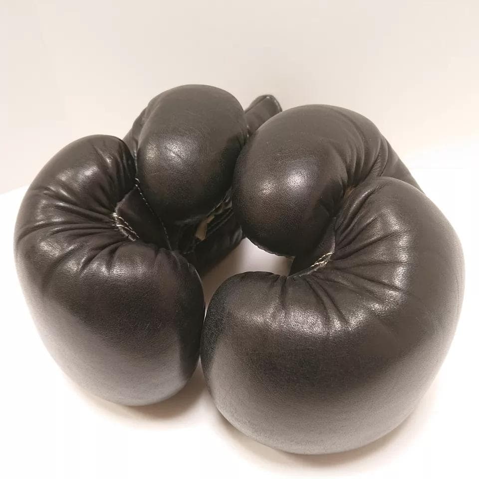 winning ウイニング ボクシンググローブ 10oz 旧ロゴ ヴィンテージ①