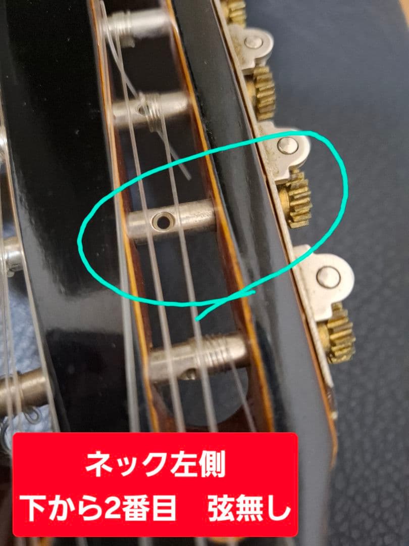 チャランゴ ガンボア　ハードケース付き