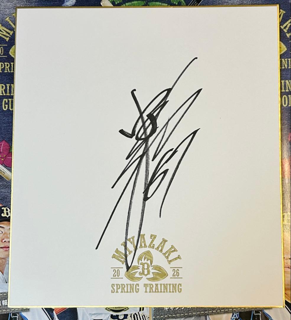 中川圭太 オリックスバファローズ 春季キャンプ 限定ロゴ色紙 直筆