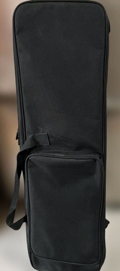 沖縄三線 人工皮 初心者向け 専用ソフトケース付き