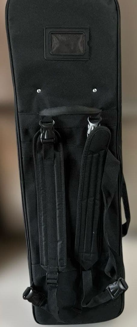 沖縄三線 人工皮 初心者向け 専用ソフトケース付き