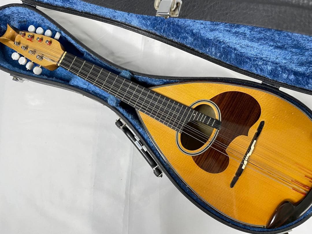 SUZUKI/スズキ クラシックマンドリン M-100