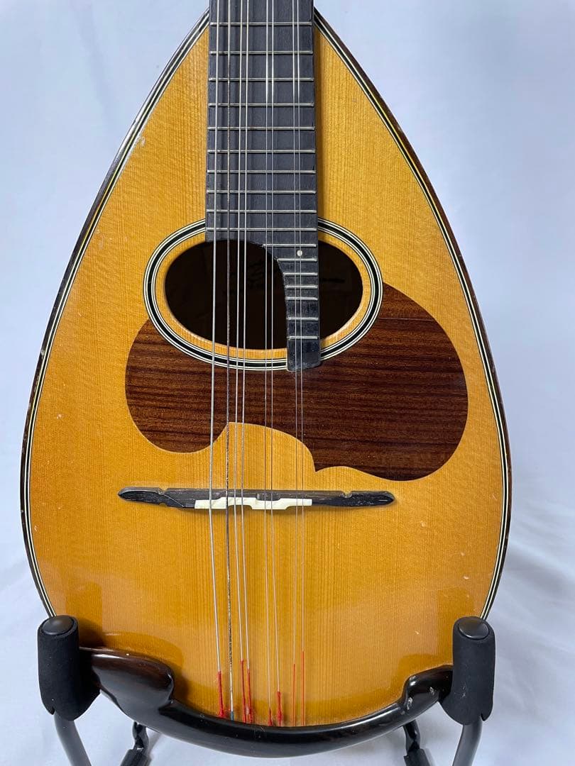 SUZUKI/スズキ クラシックマンドリン M-100