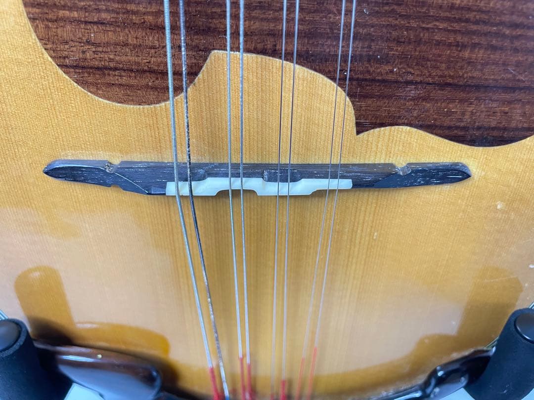 SUZUKI/スズキ クラシックマンドリン M-100