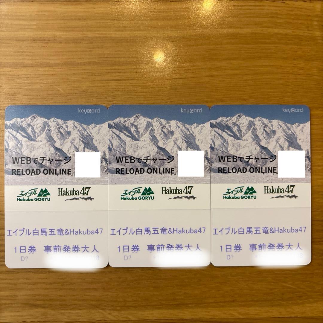 エイブル白馬五竜•47 スキーチケット 1日券 大人用 白馬47 ・エイブル