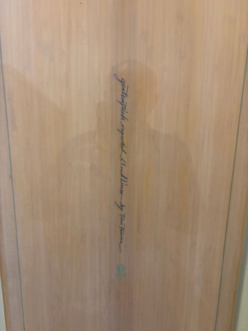 GENTEMSTICKスーパーフィッシュクラウドライナースノーボード