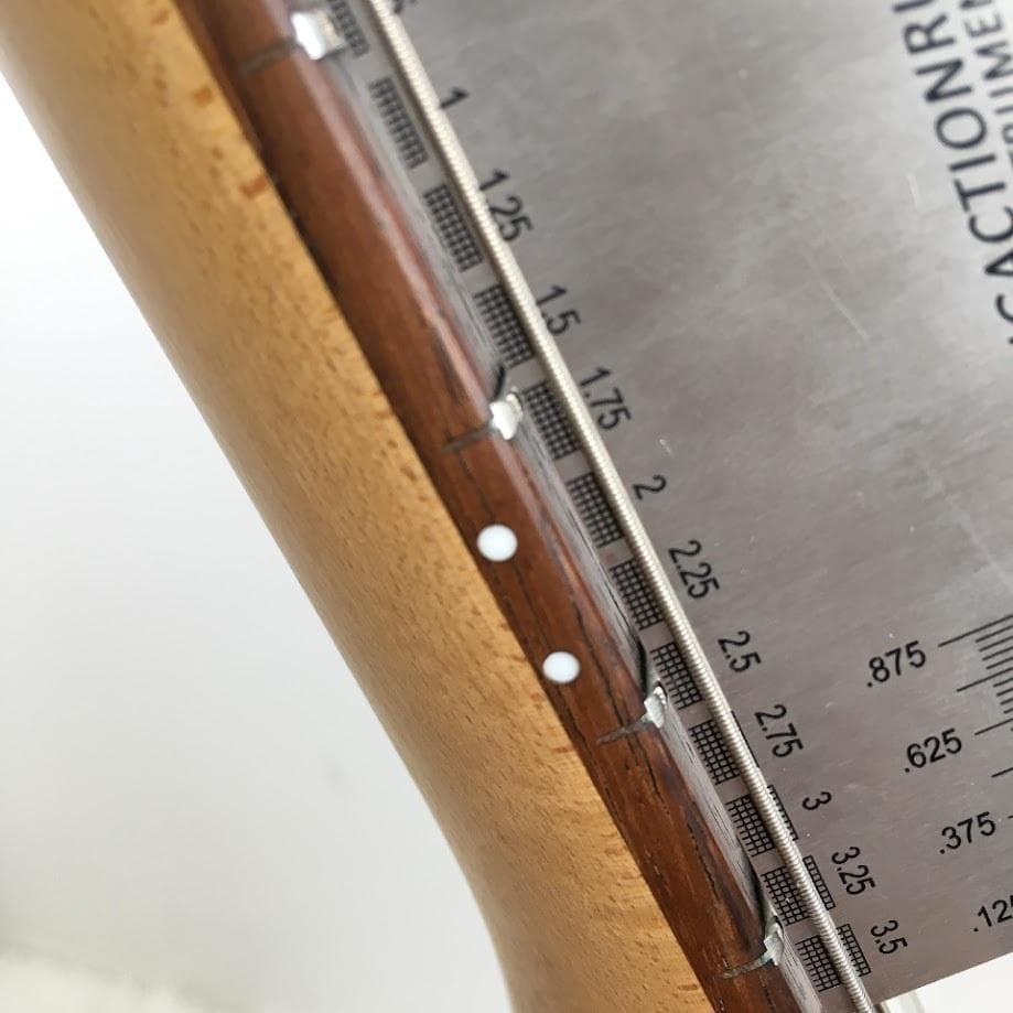 バッカス BACCHUS テレキャスター UNIVERSE SERIES RSM