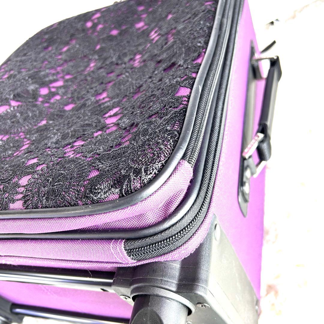 【希少】スワニー キャリーバッグ　近沢レース限定生産 数量限定