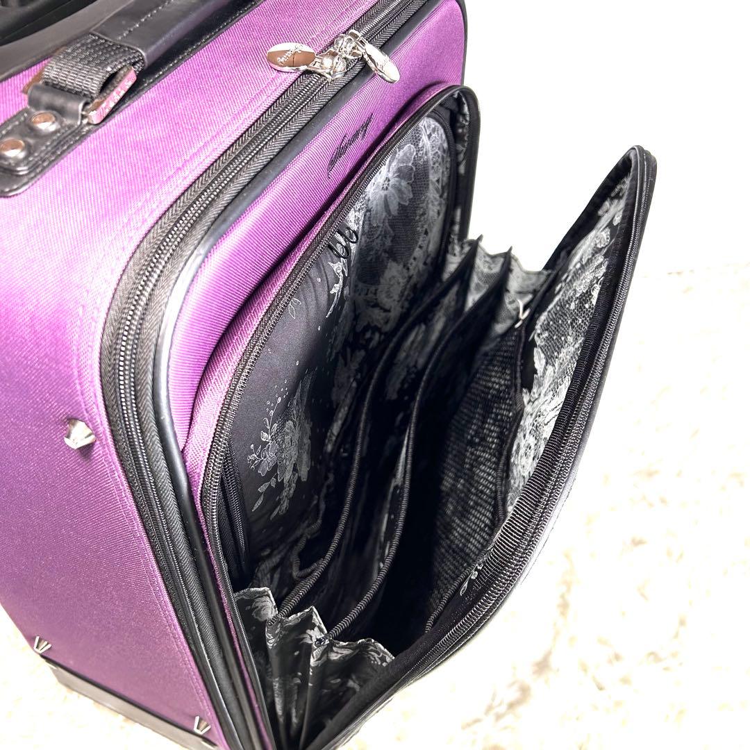 【希少】スワニー キャリーバッグ　近沢レース限定生産 数量限定