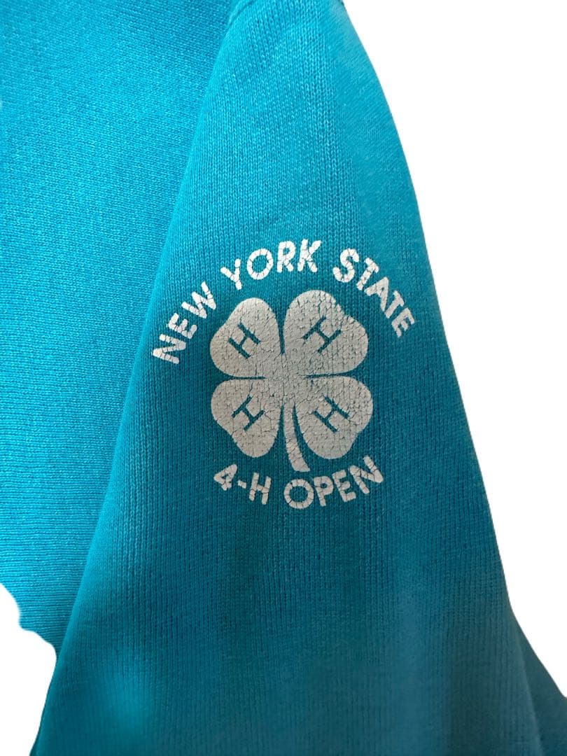 t*n様 90s USA製 チャンピオン リバースウィーブ 3段プリント ターコ