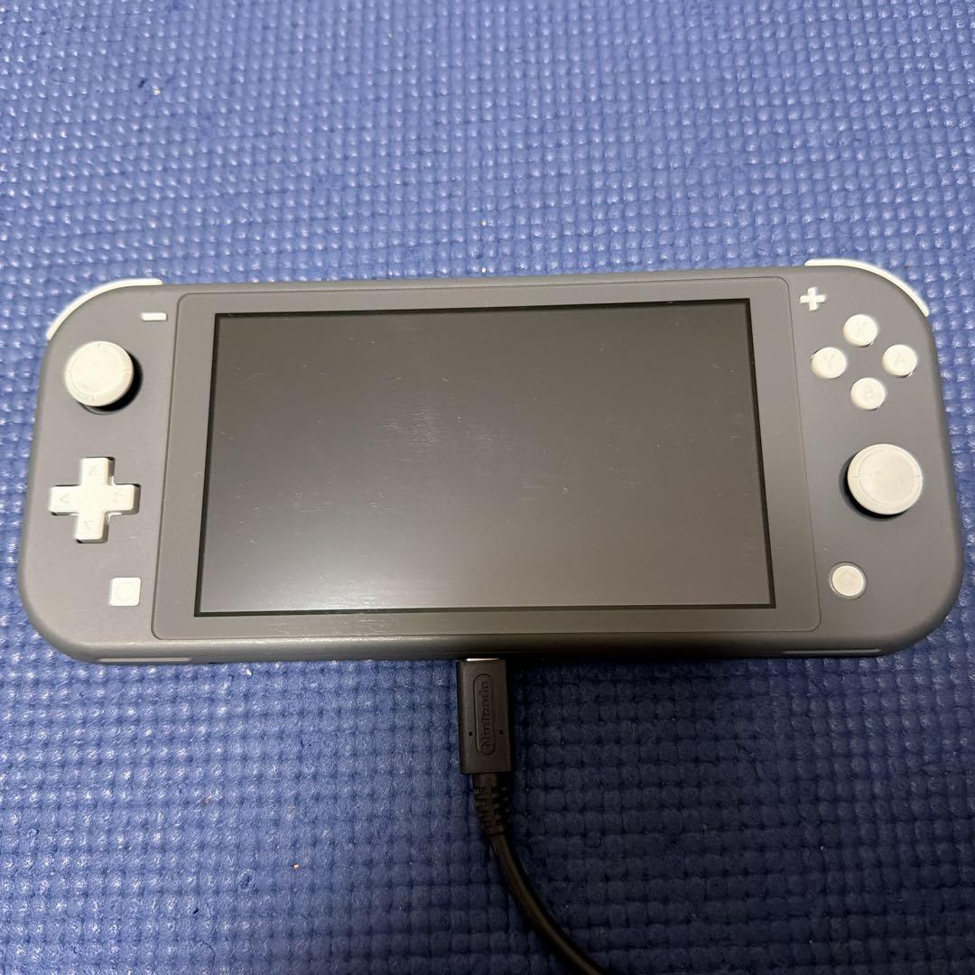 訳あり Switch Lite＋初代DS＋DSLITE 本体セット ジャンク