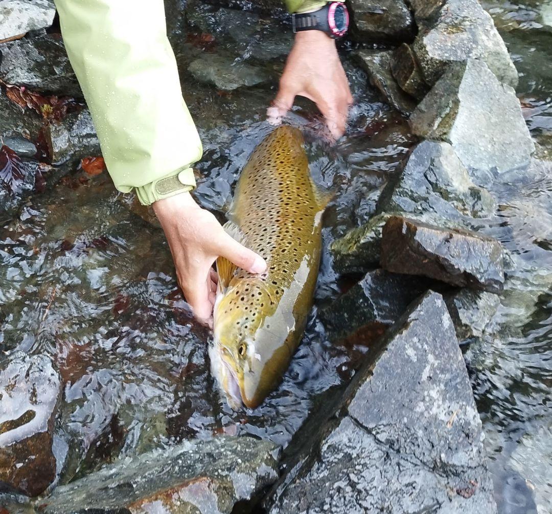 Beams inte 7.9UL ルアーロッド