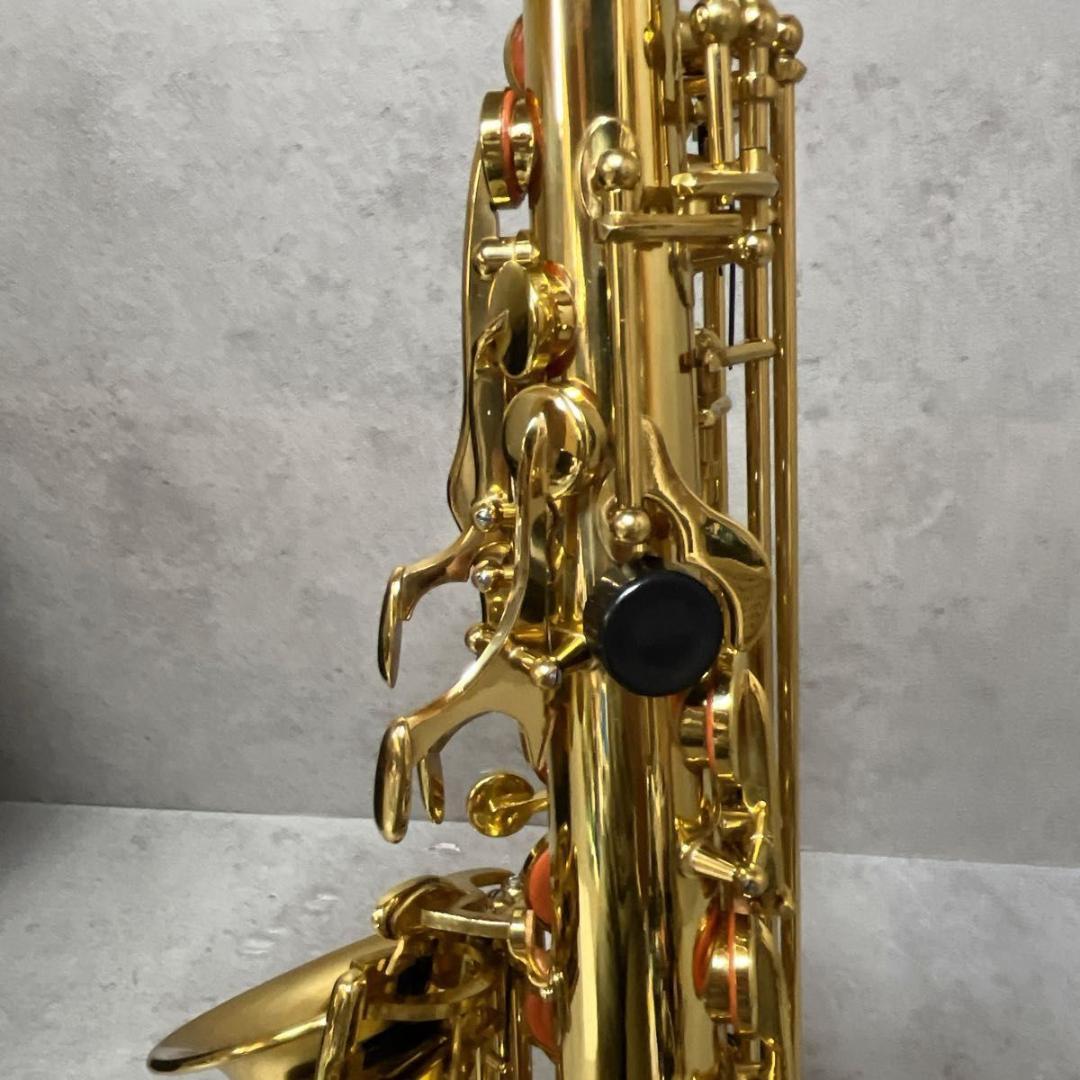 HOSCO ホスコ Selection アルトサックス SAS-50L 管楽器